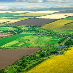 agricultural_fields